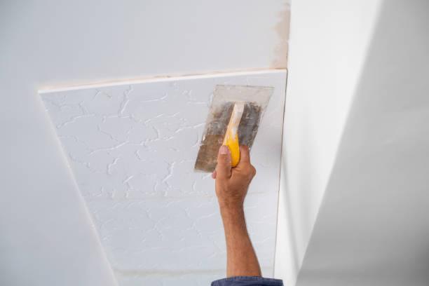 Forro Modulado de Isopor: Conheça as Vantagens e Aplicações deste Material Versátil